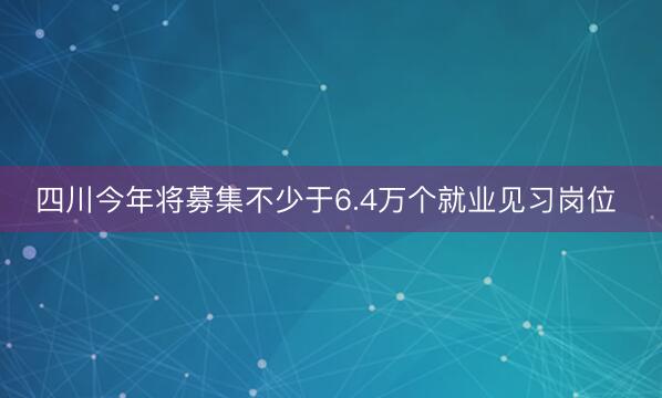 四川今年将募集不少于6.4万个就业见习岗位 