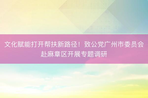 文化赋能打开帮扶新路径！致公党广州市委员会赴麻章区开展专题调研