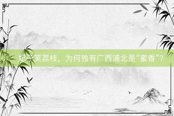 ​妃子笑荔枝，为何独有广西浦北是“蜜香”？