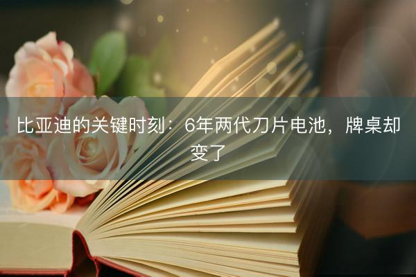 比亚迪的关键时刻：6年两代刀片电池，牌桌却变了