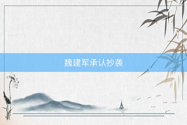 魏建军承认抄袭