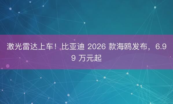 激光雷达上车！比亚迪 2026 款海鸥发布，6.99 万元起