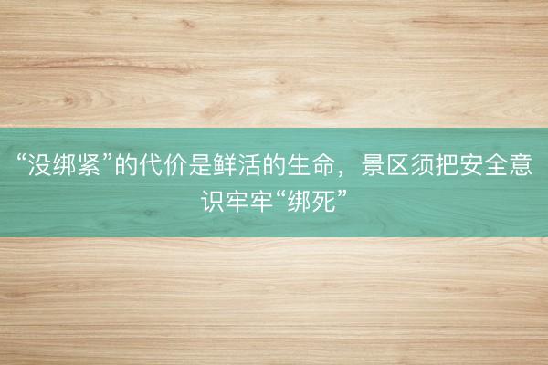 “没绑紧”的代价是鲜活的生命，景区须把安全意识牢牢“绑死”