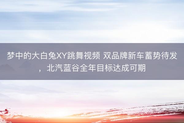 梦中的大白兔XY跳舞视频 双品牌新车蓄势待发，北汽蓝谷全年目标达成可期