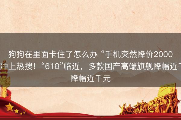 狗狗在里面卡住了怎么办 “手机突然降价2000元”冲上热搜！“618”临近，多款国产高端旗舰降幅近千元