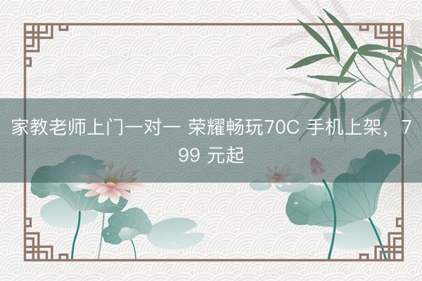 家教老师上门一对一 荣耀畅玩70C 手机上架，799 元起
