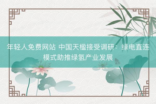 年轻人免费网站 中国天楹接受调研：绿电直连模式助推绿氢产业发展