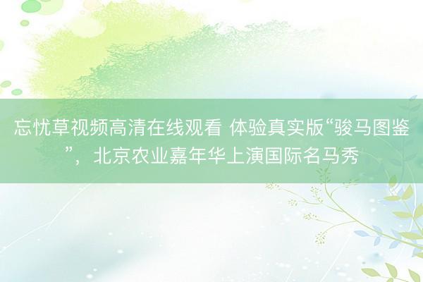 忘忧草视频高清在线观看 体验真实版“骏马图鉴”，北京农业嘉年华上演国际名马秀