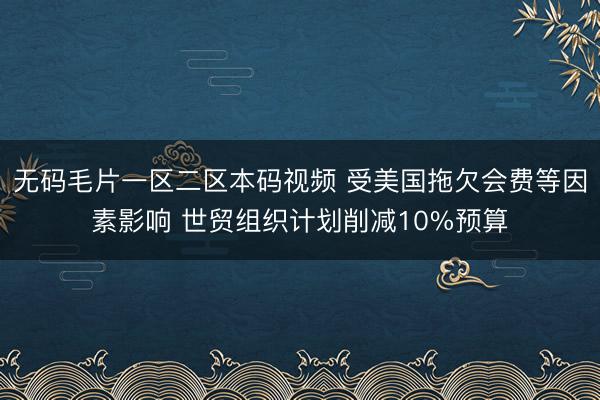 无码毛片一区二区本码视频 受美国拖欠会费等因素影响 世贸组织计划削减10%预算