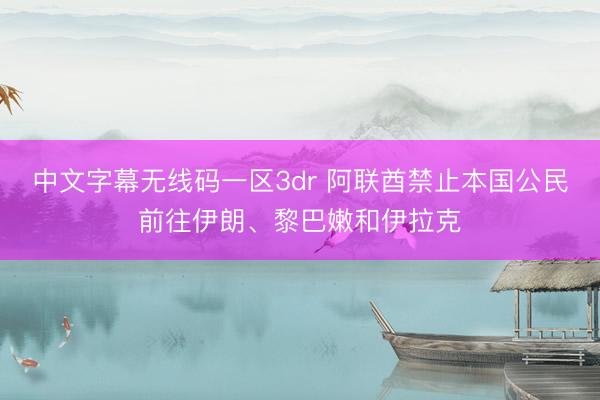 中文字幕无线码一区3dr 阿联酋禁止本国公民前往伊朗、黎巴嫩和伊拉克