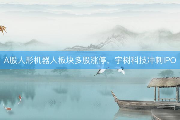 A股人形机器人板块多股涨停，宇树科技冲刺IPO