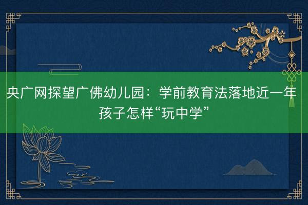 央广网探望广佛幼儿园：学前教育法落地近一年 孩子怎样“玩中学”