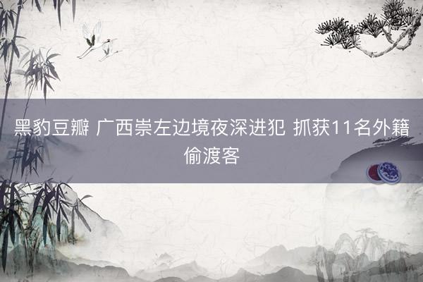 黑豹豆瓣 广西崇左边境夜深进犯 抓获11名外籍偷渡客
