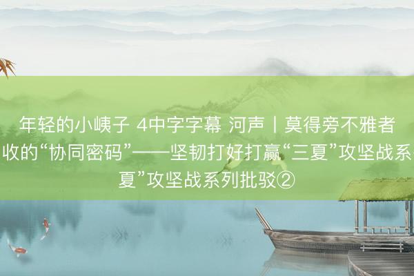 年轻的小峓子 4中字字幕 河声丨莫得旁不雅者，河南麦收的“协同密码”——坚韧打好打赢“三夏”攻坚战系列批驳②