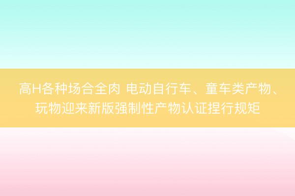 高H各种场合全肉 电动自行车、童车类产物、玩物迎来新版强制性产物认证捏行规矩
