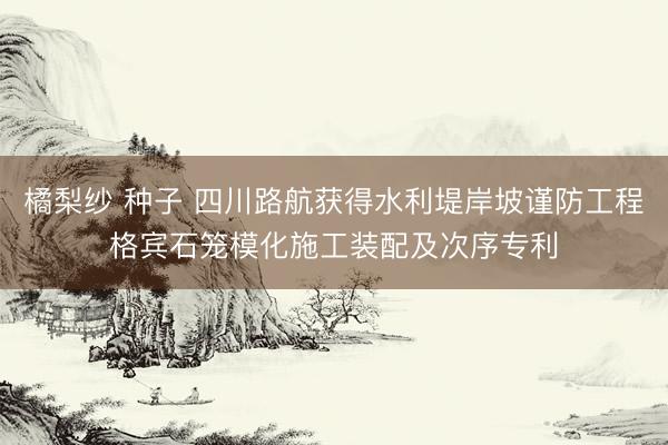 橘梨纱 种子 四川路航获得水利堤岸坡谨防工程格宾石笼模化施工装配及次序专利