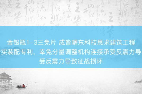 金银瓶1-3三免片 成皆曙东科技恳求建筑工程地基平整夯实装配专利，幸免分量调整机构连接承受反震力导致征战损坏