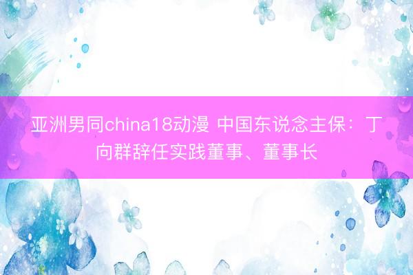 亚洲男同china18动漫 中国东说念主保：丁向群辞任实践董事、董事长