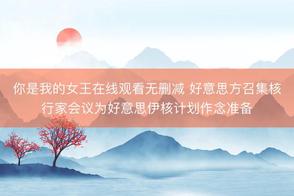 你是我的女王在线观看无删减 好意思方召集核行家会议为好意思伊核计划作念准备