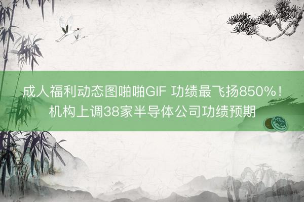 成人福利动态图啪啪GIF 功绩最飞扬850%!机构上调38家半导体公司功绩预期