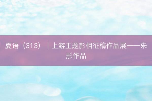 夏语（313）｜上游主题影相征稿作品展——朱彤作品